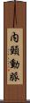 内頸動脈 Scroll