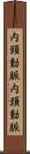 内頸動脈 Scroll