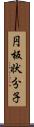 円板状分子 Scroll