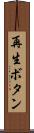 再生ボタン Scroll