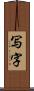 写字 Scroll