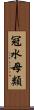 冠水母類 Scroll