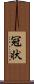 冠状 Scroll
