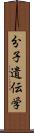 分子遺伝学 Scroll