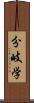 分岐学 Scroll