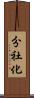 分社化 Scroll