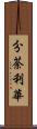 分荼利華 Scroll