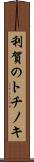 利賀のトチノキ Scroll