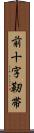 前十字靭帯 Scroll