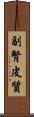 副腎皮質 Scroll