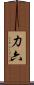 力六 Scroll
