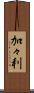 加々利 Scroll