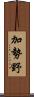 加勢野 Scroll