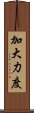 加大力度 Scroll