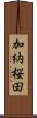 加納桜田 Scroll