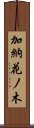 加納花ノ木 Scroll
