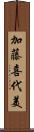 加藤喜代美 Scroll