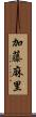 加藤麻里 Scroll
