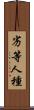 劣等人種 Scroll