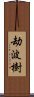 劫波樹 Scroll