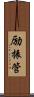 励振管 Scroll
