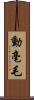 動毫毛 Scroll