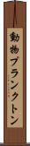 動物プランクトン Scroll
