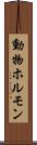 動物ホルモン Scroll
