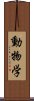 動物学 Scroll