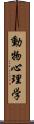 動物心理学 Scroll