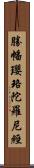 勝幡瓔珞陀羅尼經 Scroll