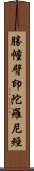 勝幢臂印陀羅尼經 Scroll