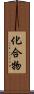 化合物 Scroll