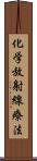 化学放射線療法 Scroll