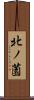 北ノ薗 Scroll