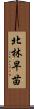 北林早苗 Scroll