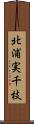 北浦実千枝 Scroll