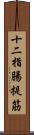 十二指腸提筋 Scroll