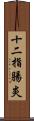 十二指腸炎 Scroll