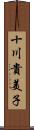 十川貴美子 Scroll