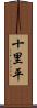 十里平 Scroll