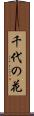 千代の花 Scroll