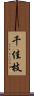 千佳枝 Scroll