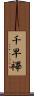 千早 Scroll