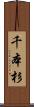 千本杉 Scroll