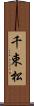 千束松 Scroll