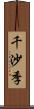 千沙季 Scroll