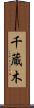 千蔵木 Scroll