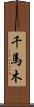 千馬木 Scroll
