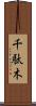 千駄木 Scroll